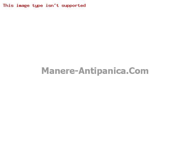 Blocator manere antipanica pentru PVC / LEMN producator CISA